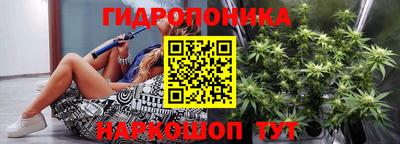 молекула духа Будённовск